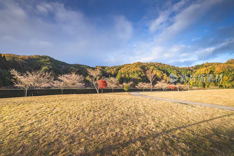 日本京都周边的乡村。