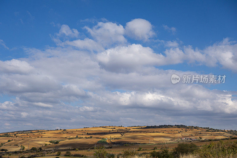 碧蓝的天空俯瞰着辽阔的草原，秋高气爽的风景
