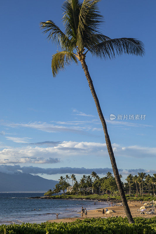 Wailea海滩,毛伊岛。