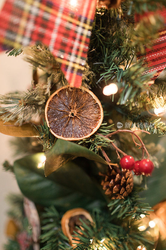 干橙柑橘和弗雷泽冷杉圣诞树上的圣诞金箔