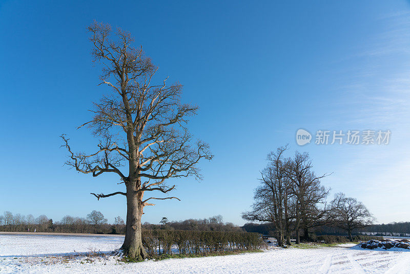 英国乡村的一个下雪天