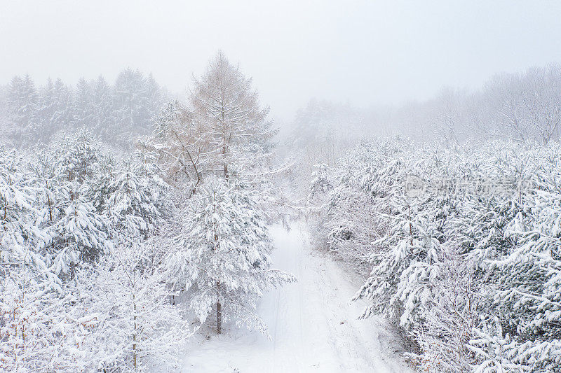 铁路被积雪覆盖的森林所包围的鸟瞰图。