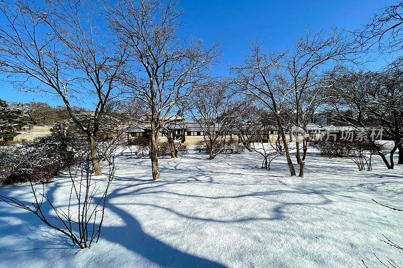 韩国的冬季景观