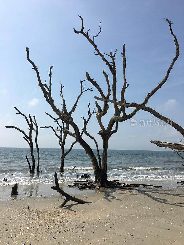 埃迪斯托海滩州立公园