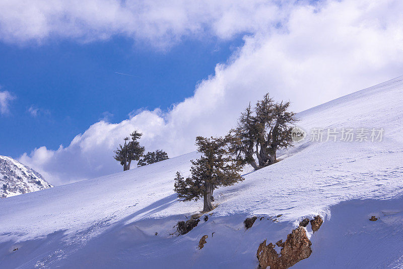 雪的观点。雪山顶云峰