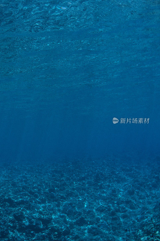 海景-帕劳，密克罗尼西亚