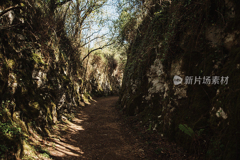 农村地区的公路