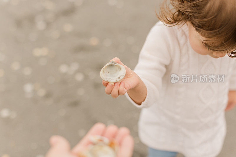 2021年1月一个寒冷的冬天，21个月大的小女孩在佛罗里达朱诺海滩的沙滩上收集贝壳