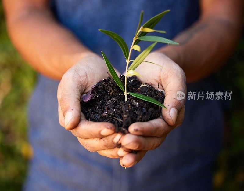 一个面目全非的男人独自站在那里，手里拿着一棵刚发芽的植物