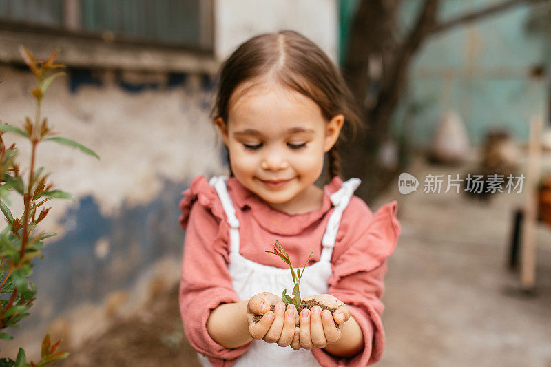 孩子们照料着幼苗。手扶小树