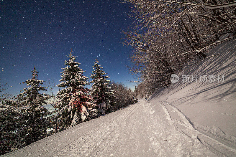 壮丽的星空笼罩着冬日的山景。夜景。月光下美丽的高大冷杉。喀尔巴阡山,乌克兰,欧洲。