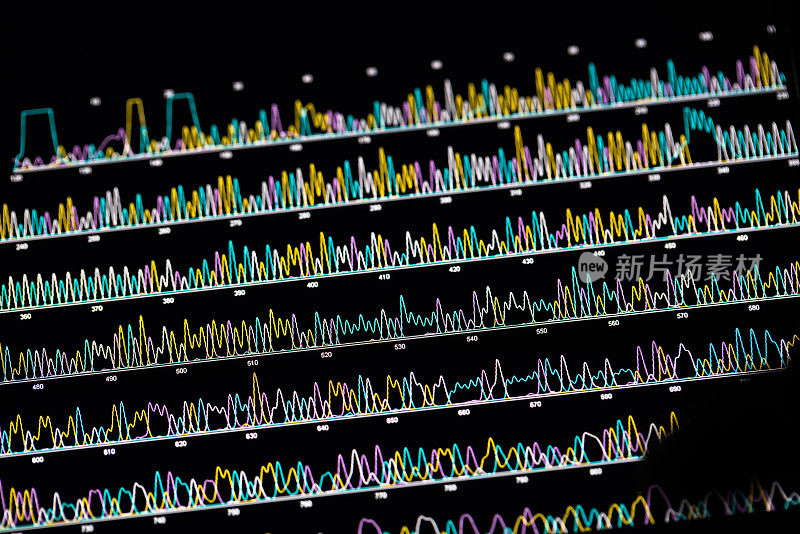 片剂中的DNA序列谱