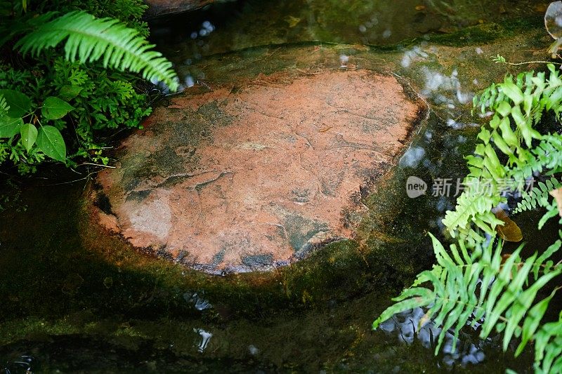 美丽的大石头在田园诗般的花园溪流中