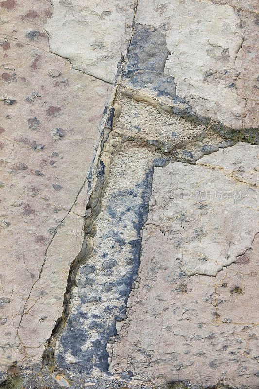 福马尼亚山坡上的恐龙足迹。