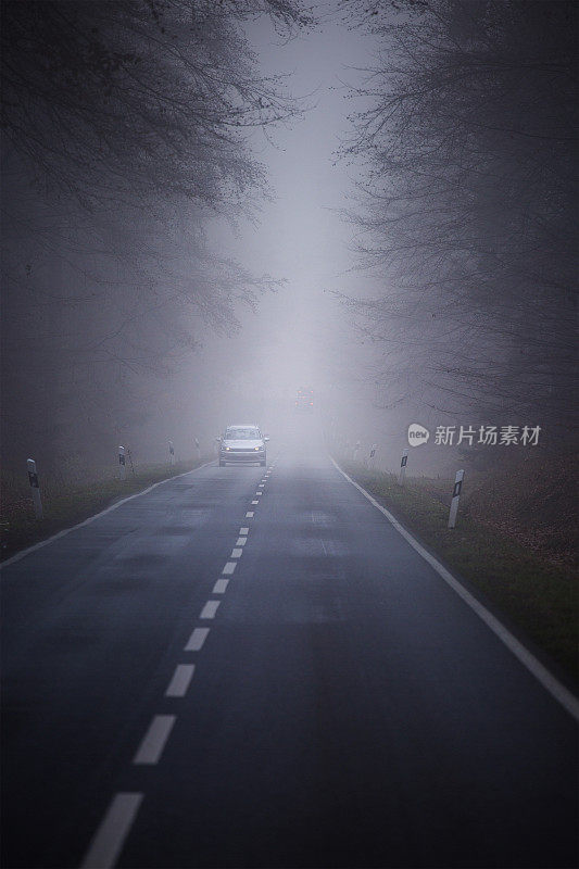 秋天的道路穿过森林的雾