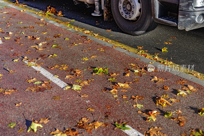 自行车道上的落叶。卡车在相邻的路上。Alcorcon,马德里,西班牙。