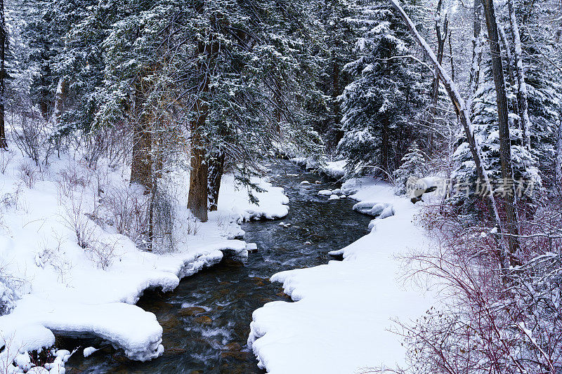冬雪溪景观