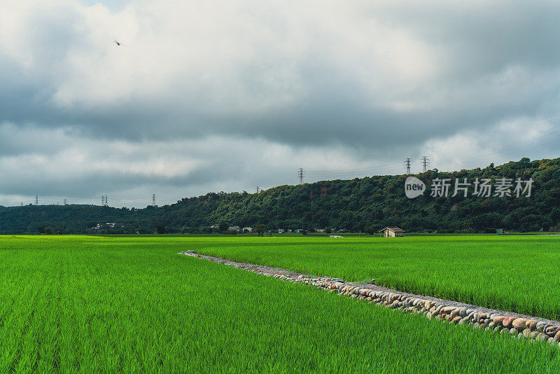 台中外浦-王游谷，千变万化的田野和云海。