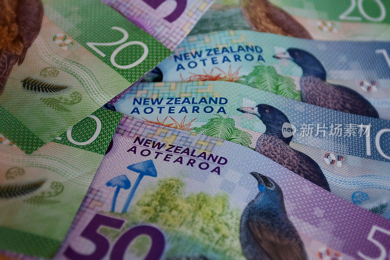 新西兰元纸币(NZD)背景