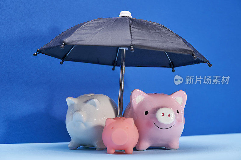 储蓄罐和雨伞。金融保险、保护。极简主义