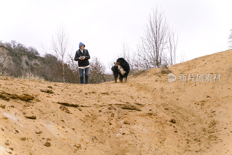 黄沙滩上遛狗。一个凉爽的春日，戴着蓝色兜帽的女人和她的伯尔尼犬站在山顶上。