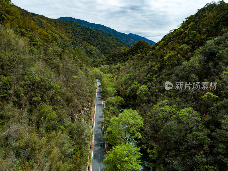 柏油路，山林公路