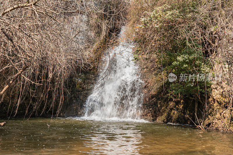 小瀑布从山上的裂缝中流出，位于以色列北部梅图拉市附近加利利地区快速、浅、冷的亚云河的延续处