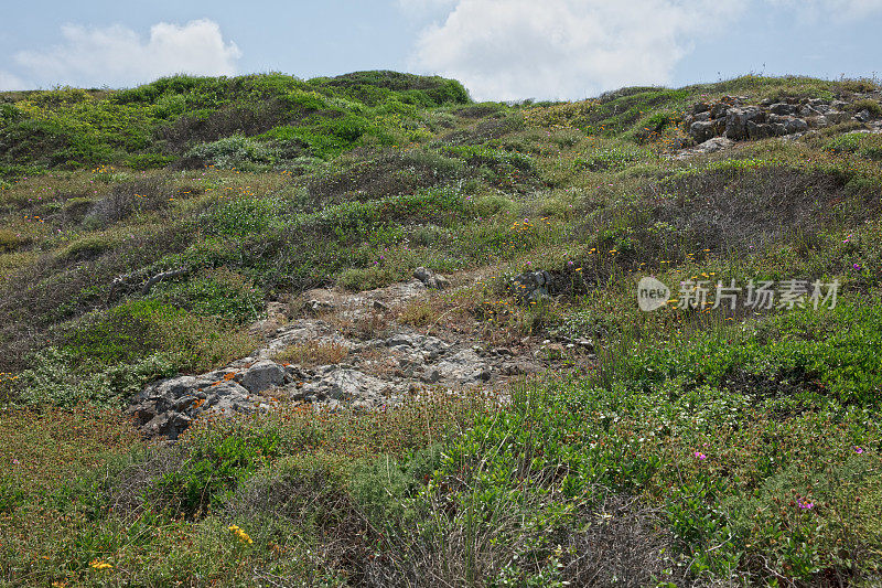 长满绿草的小山