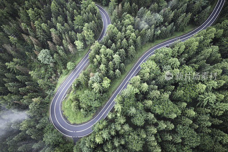 鸟瞰绿色森林中的山路