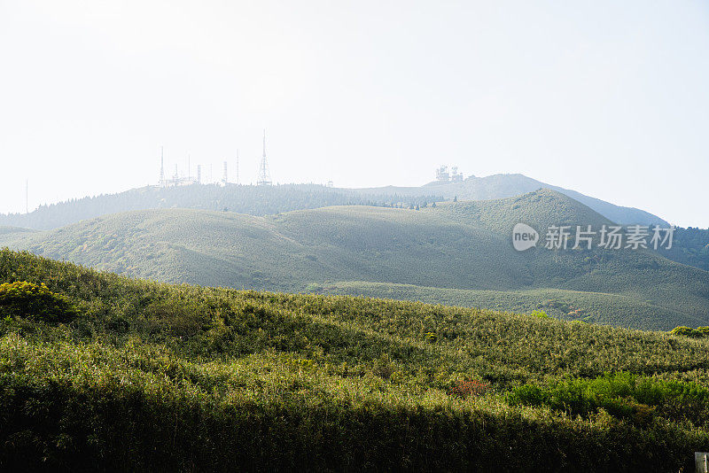 黎明时分的阳明山国家公园