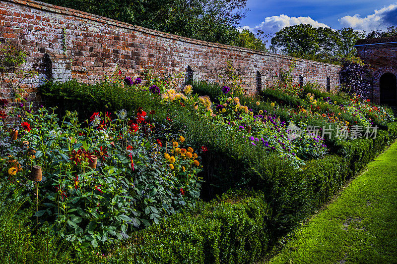 夏季花墙花园，花花绿绿的植物园艺镶边