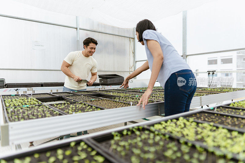 可持续经济——亚洲城市农民使用技术评估新作物的质量