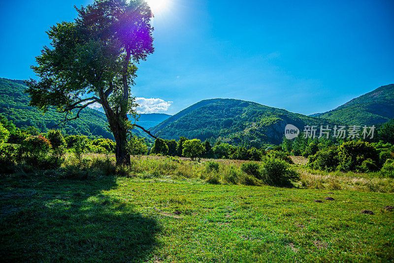 塞尔维亚斯塔拉普拉尼纳山的景观