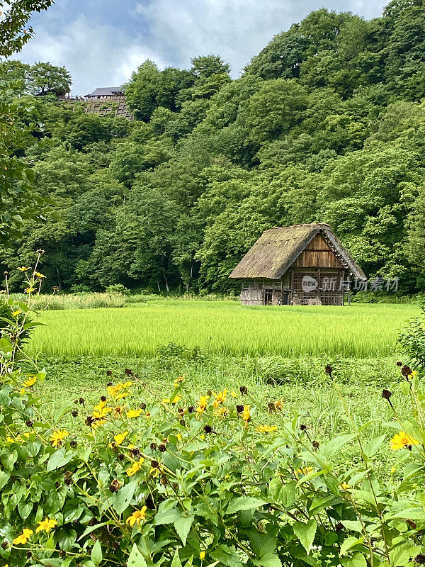 日本——白川乡