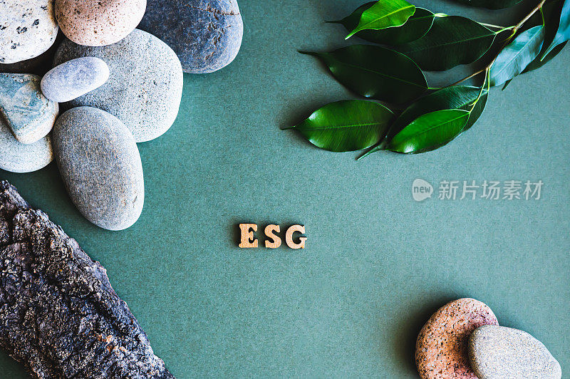 ESG概念木质字母，石头，树叶和树皮在绿色背景的顶部视图