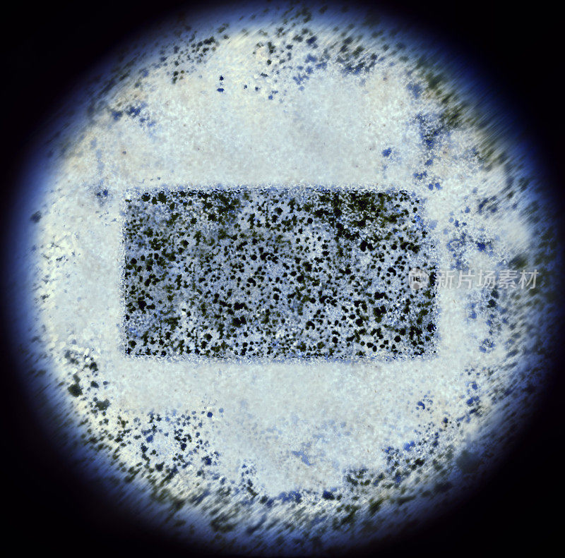 显微镜下的堪萨斯形细菌(系列)