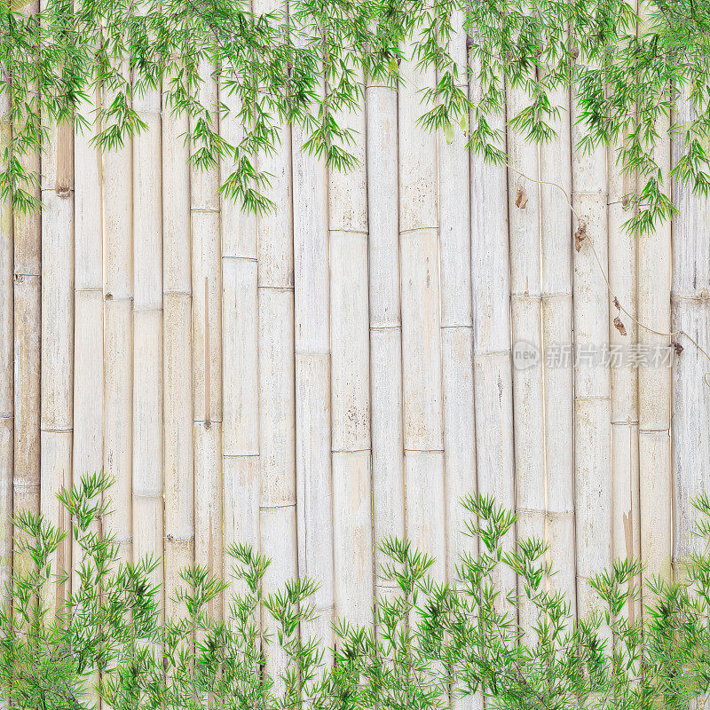 竹叶框架在竹子的背景上。