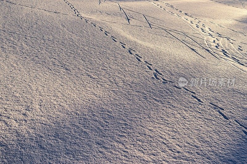 雪的背景或纹理和痕迹