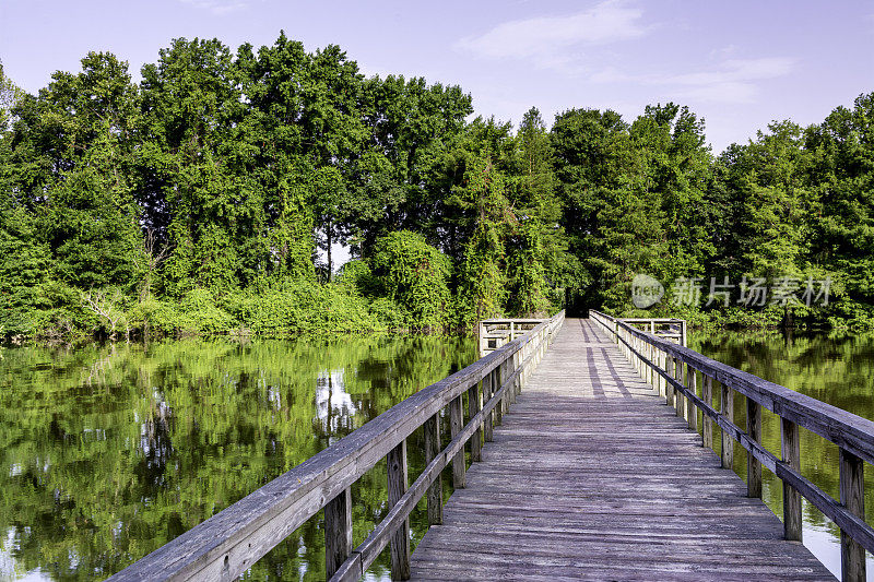 阿拉巴马州的水和森林有一座步行桥