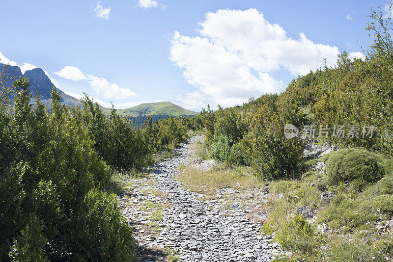 山跟踪