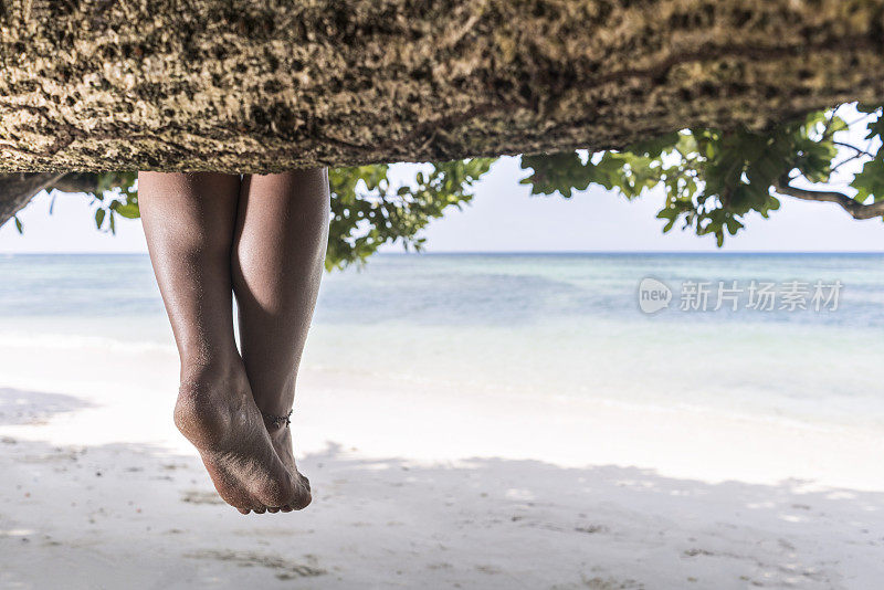 一个陌生的女人在海滩的树上休息。