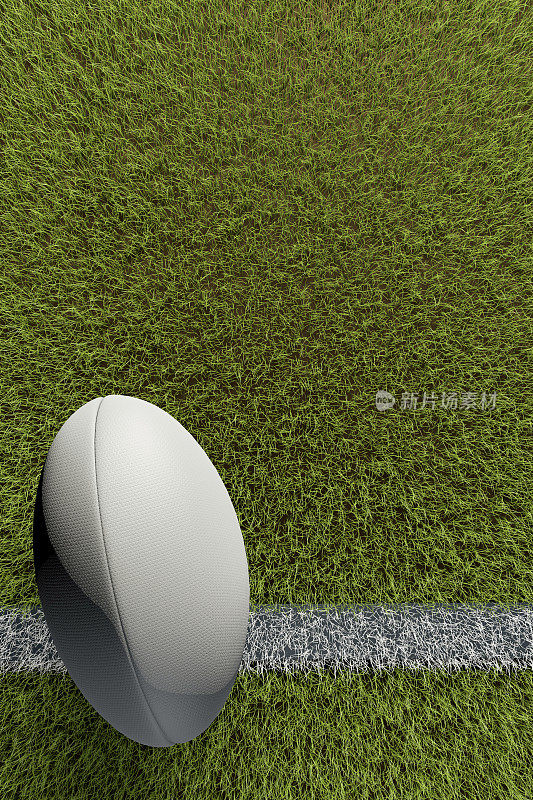 草地上的橄榄球