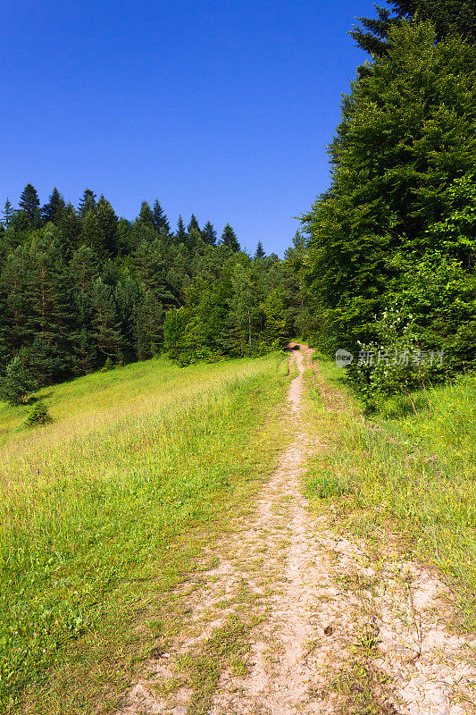 山路。夏天,Pieniny,斯洛伐克。