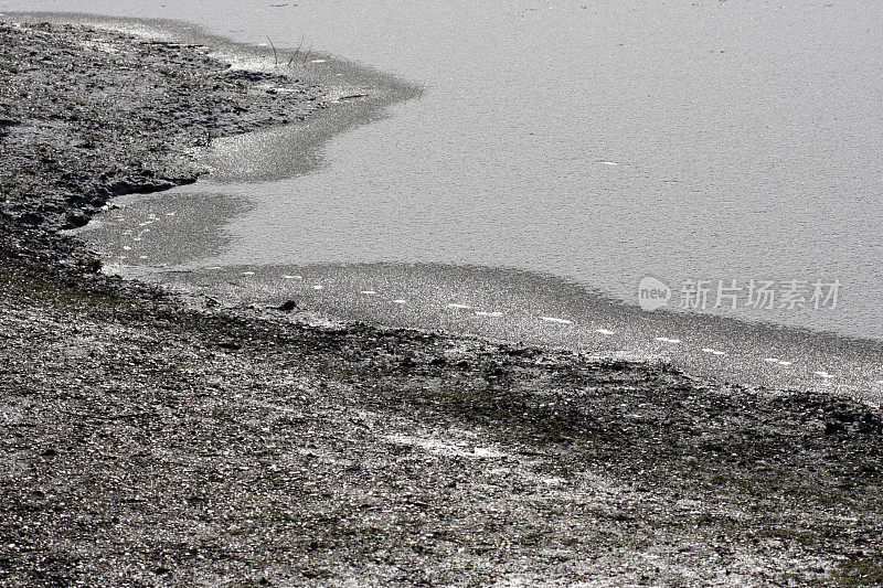 灰冻的海岸线融化的冰足迹米查姆Common
