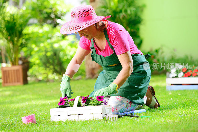 快乐的老年妇女在她的花园里种花