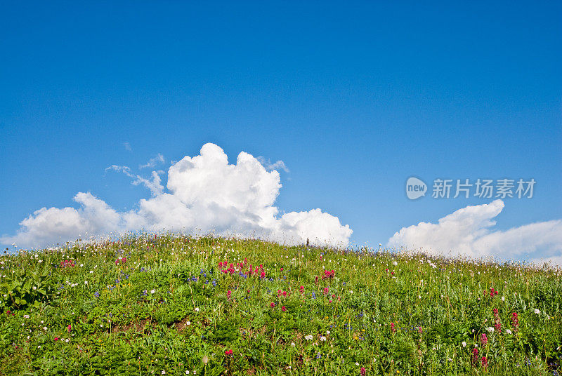 高山草甸与云的形成