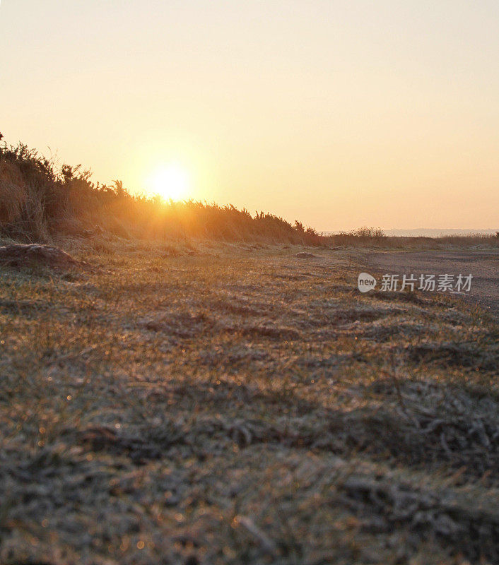 在结霜的草地上看日出很低