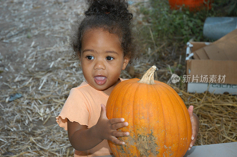 选择一个pumkin