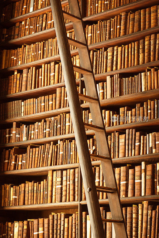 有书和梯子的旧图书馆