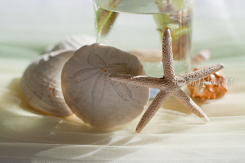 贝壳海滨婚宴餐桌布置海星